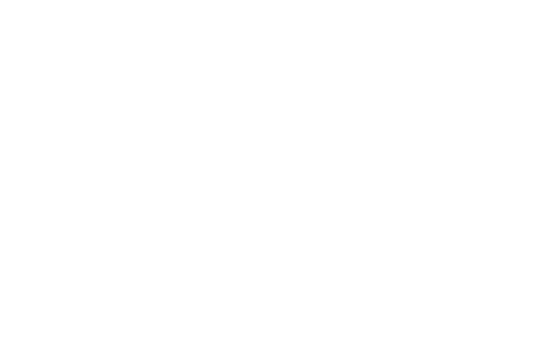 logo castelneau blanc